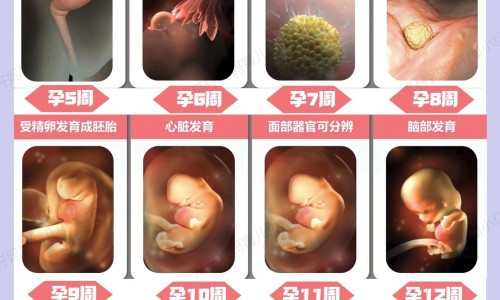 婴儿脸上色素斑网 :分享婴儿脸上色素斑怎么去除-婴儿脸上色素沉着斑会消失吗知识